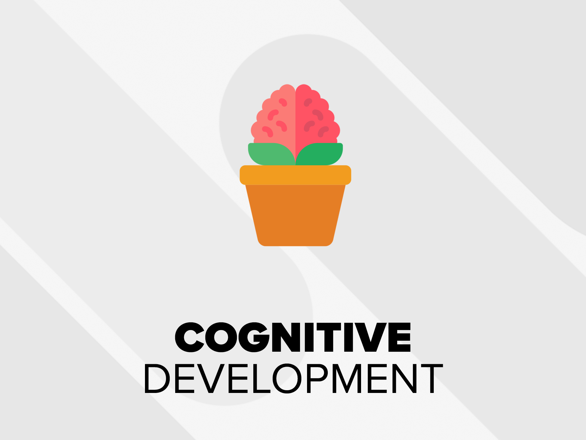 Cognitive Development